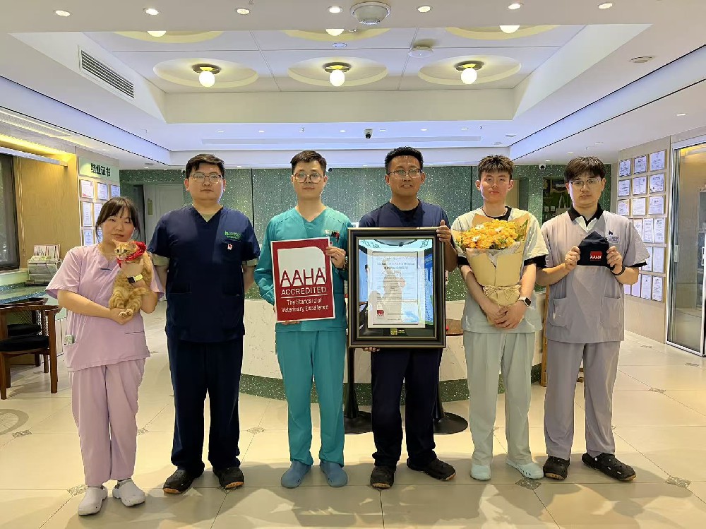 荣誉展示