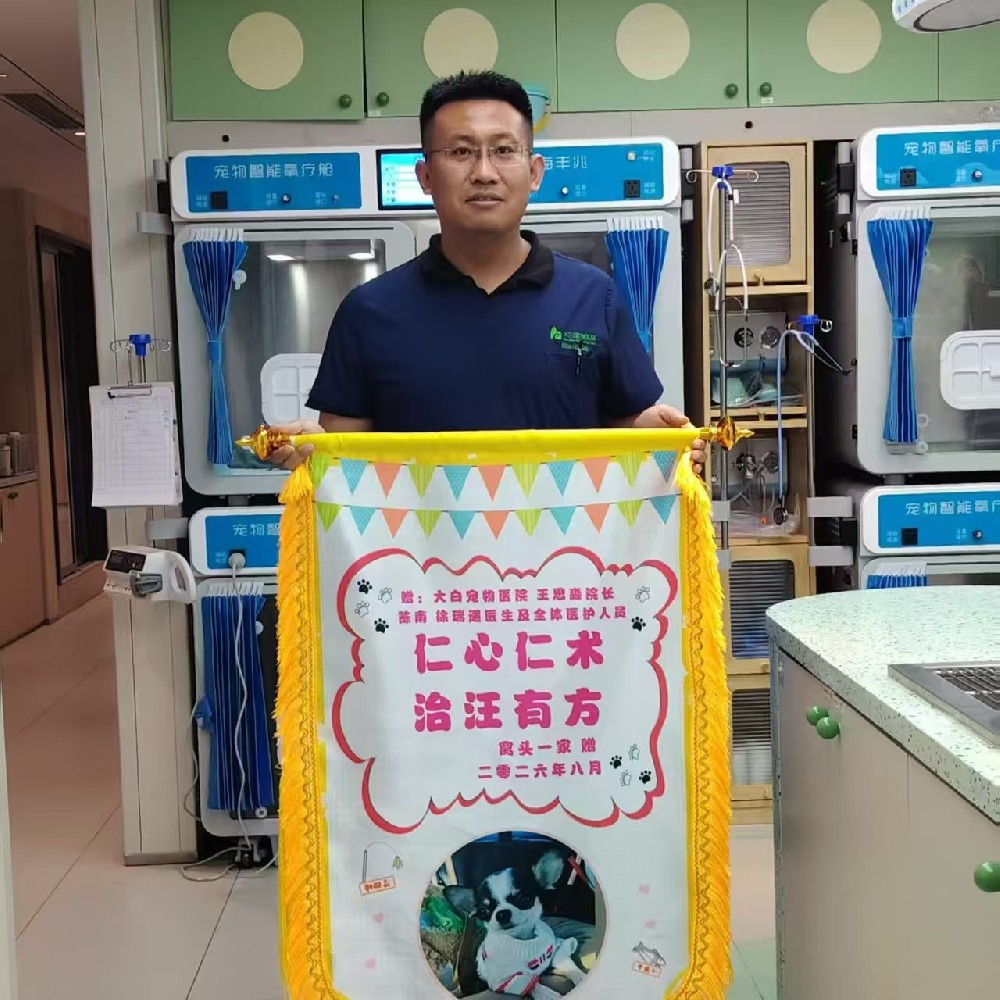 口碑展示